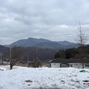 모짜르트 | 서울 근교 캠핑장 추천, 양평 모짜르트 캠핑장 사이트 정보 및 솔직 후기