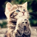 로또PC게임 이미지