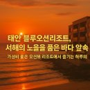 몽산포해넘이 | 태안 블루오션리조트, 서해의 노을을 품은 바다 앞 숙소