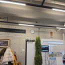 방천 | 대구 방천시장 뭉티기 맛집 | 김광석 거리 방천생고기 방문 후기