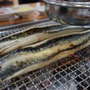 산포장어 이미지