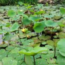 양주중학교 이미지