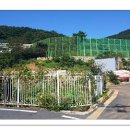 대청초등학교소청분교장 Daum카페