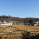 강화읍-10 이미지