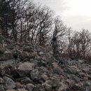 어래산농장 이미지