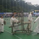 보성전삼베