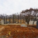 신축호랑이사 이미지