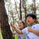 청진기닷컴 이미지