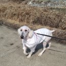 이천가축약품 이미지