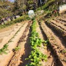 화순케어랜드요양병원 이미지