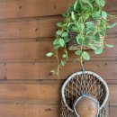 이치비민박 이미지