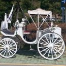 사천대교로 이미지