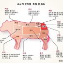 해솔축산 이미지