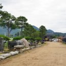 정원조경 - 동구 방천로6길 13 | 정원조경