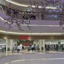 위례둘레길 | 위례 무료주차 영화관 스타필드시티 위례호수공원 벚꽃구경 후 CGV 가서 프로젝트 헤일메리 관람 하고...