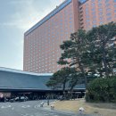 신라호텔 | 신라호텔 더파크뷰 돌잔치 후기 가격 돌상 스냅