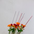 현대적 디자인하기-사선적 파라렐-decorative parallel 이미지
