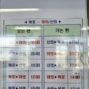 목포농협주유소3호점 | <2025. 07. --- 전남 신안 신의도 섬차박여행...>