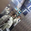 인천중부경찰서공항지구대 | 오키나와 렌트카 여행 전 준비: 국제면허증, 입장권 예매 꿀팁 정리(츄라우미, 네오파크)