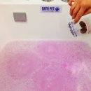 펫파크 동백점 이미지