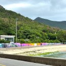 [공지] 거제 저구항 수국축제 개화상태 | 수국은 아직, 저구항 수국길+명사해변 산책 코스