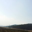 (주)금강송 이미지