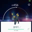 블래키 Daum카페