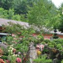 산촌민박 이미지