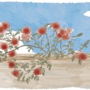 [이 한편의 시조] 장미주소로 오세요 /정도영 이미지