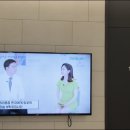 성심마취통증의학과의원 네이버블로그