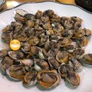 논산훈련소 포차 이미지