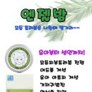 엔젤아로마