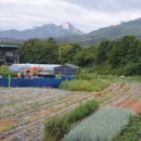 면허시험장 이미지