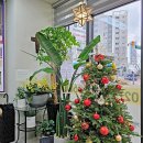 힐스별공인중개사사무소 이미지