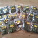 토부농장 이미지