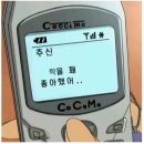 카디건스