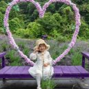 내양농장 이미지