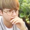 석진농장 이미지