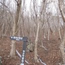 청용마을 Daum카페