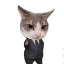 엄마김치 이미지