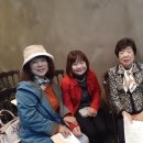 대한민국예술인센터 이미지