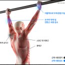 이마트24영등포영중점 | 하빈져 헬스장 헬스스트랩 L 남자용 손목보호대 사용후기