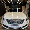 디테일러 일심 이미지