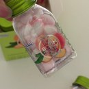 아이스붐 | 🍑 요즘 SNS 난리 난 입냄새 제거템, 아이스붐 복숭아향 캔디 후기 🍑