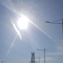 궁농오토캠핑장 네이버블로그