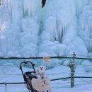 강주문화마을영농조합법인 | 청양알프스마을 반려견동반가능?! 다녀온 후기