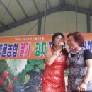 순정감자 이미지