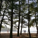 바다숲 민박 이미지