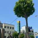 (주)아성다이소부천본점 | 2025년 4월5째주 - 5월 1째주 기록, 나 이제 서울 사람,,