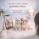 문경축협 동물병원 | 문경토이푸들분양 후기｜직접 비교하고 선택한 이유 솔직 정리